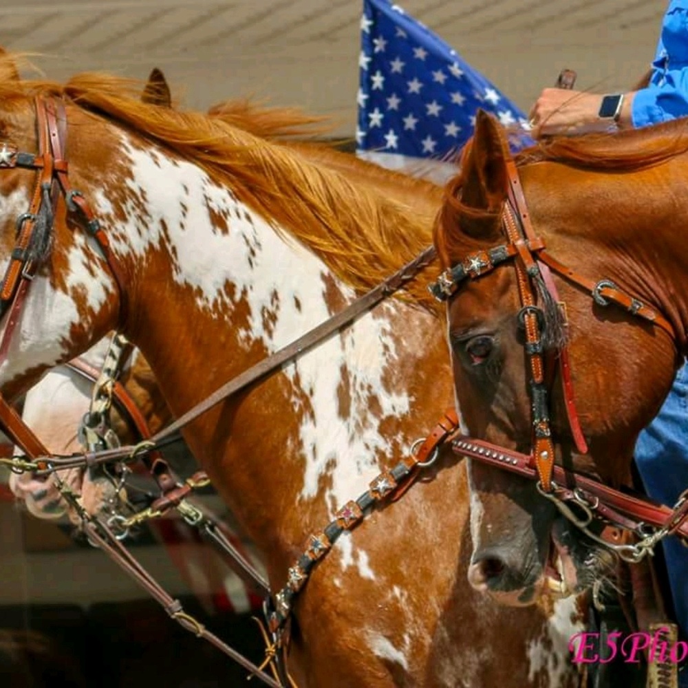 Meet your Posher, Linda